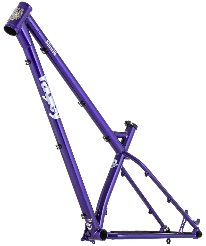 Ragley Big Wig Frame - Purple/ Silver-7